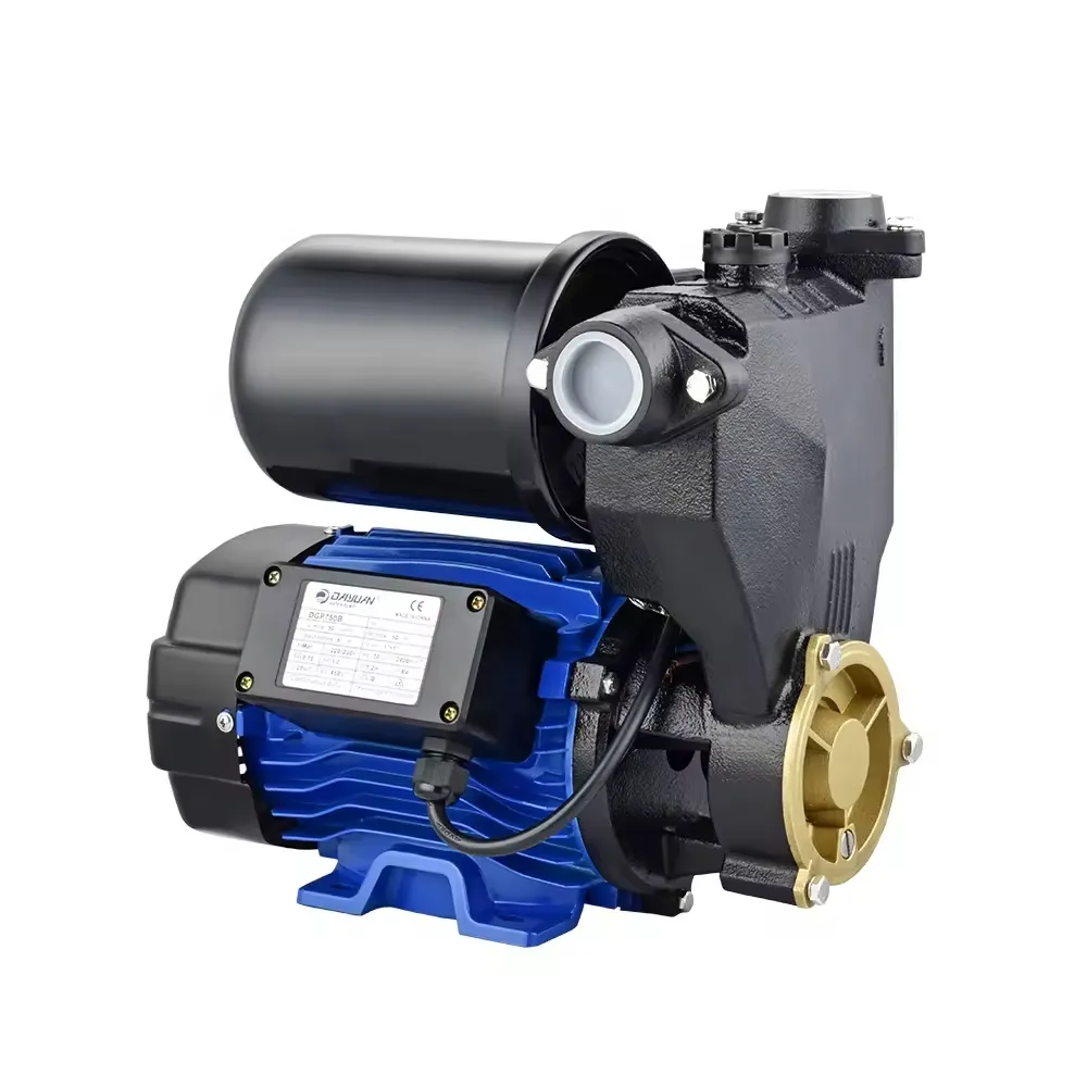 DPG Profesyonel Elektrikli Su Pompası Basınç Artırıcılı Otomatik Hidraforlu 50 Metre